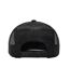 Casquette Trucker Yp Classics Noir Flexfit-2
