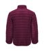 Veste Isolée Finland Homme Prune Roly-2