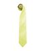 Premier Mens “Colours” Plain Fashion / Business Tie (Lime) (One Size) - UTRW1156