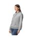 Sweat À Capuche Softstyle Adulte Gris Chiné Gildan-3