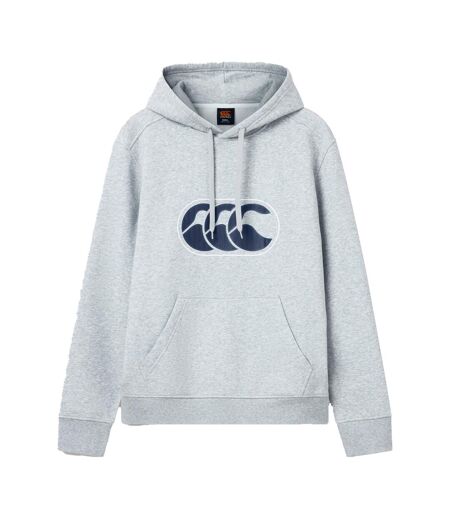 Sweat À Capuche Motif/style Logo Rakaia 2.0 Homme Gris Canterbury