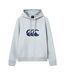 Sweat À Capuche Motif/style Logo Rakaia 2.0 Homme Gris Canterbury-2