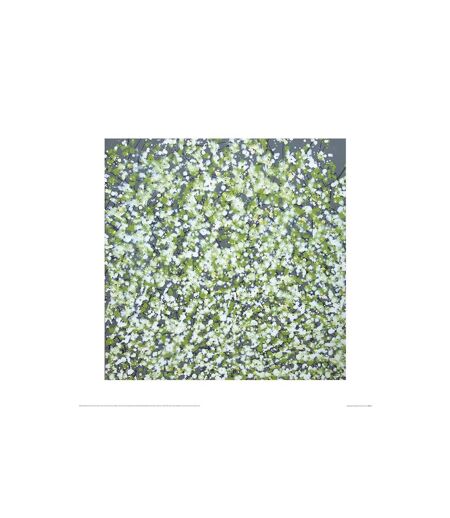 Simon Fairless - Poster SPRING BLOSSOM (Vert) (60 cm x 60 cm) - UTPM4655