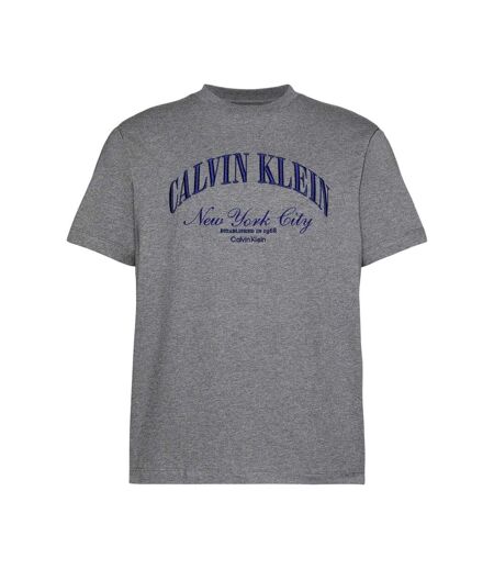 T-shirt Motif/style Logo Homme Gris Chiné Calvin Klein