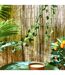 Guirlande Déco Lierre Artificiel 230cm Vert-4