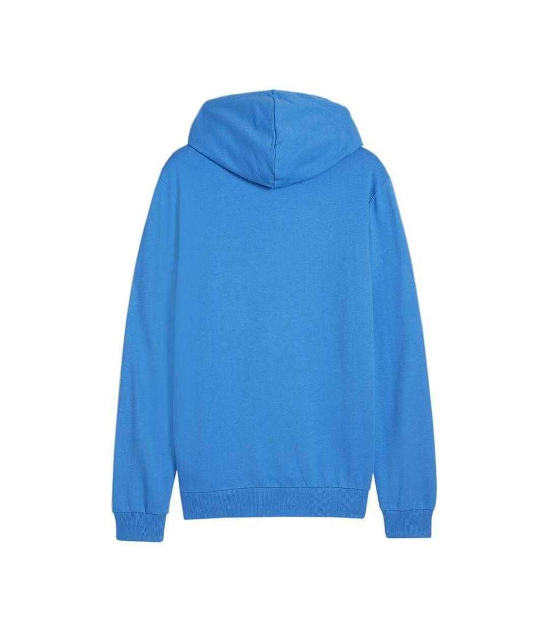 Sweat À Capuche Team Goal Homme Bleu Puma-3