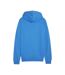 Sweat À Capuche Team Goal Homme Bleu Puma-3