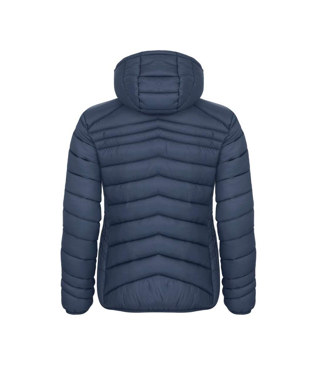 Womens/ladies Idaho Jacket Blue Fog Clique-2