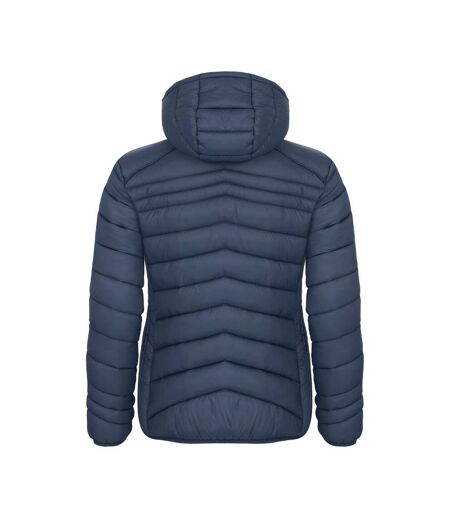 Womens/ladies Idaho Jacket Blue Fog Clique