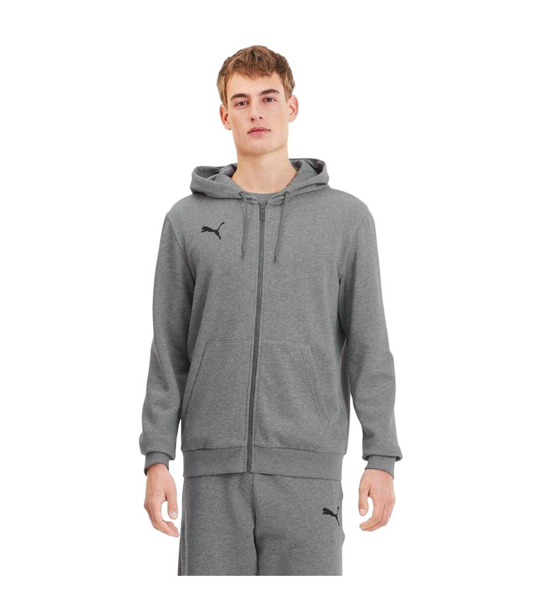 Veste À Capuche Teamgoal Casuals Homme Gris Puma-1