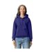 Sweat À Capuche Adulte Cobalt Gildan-1