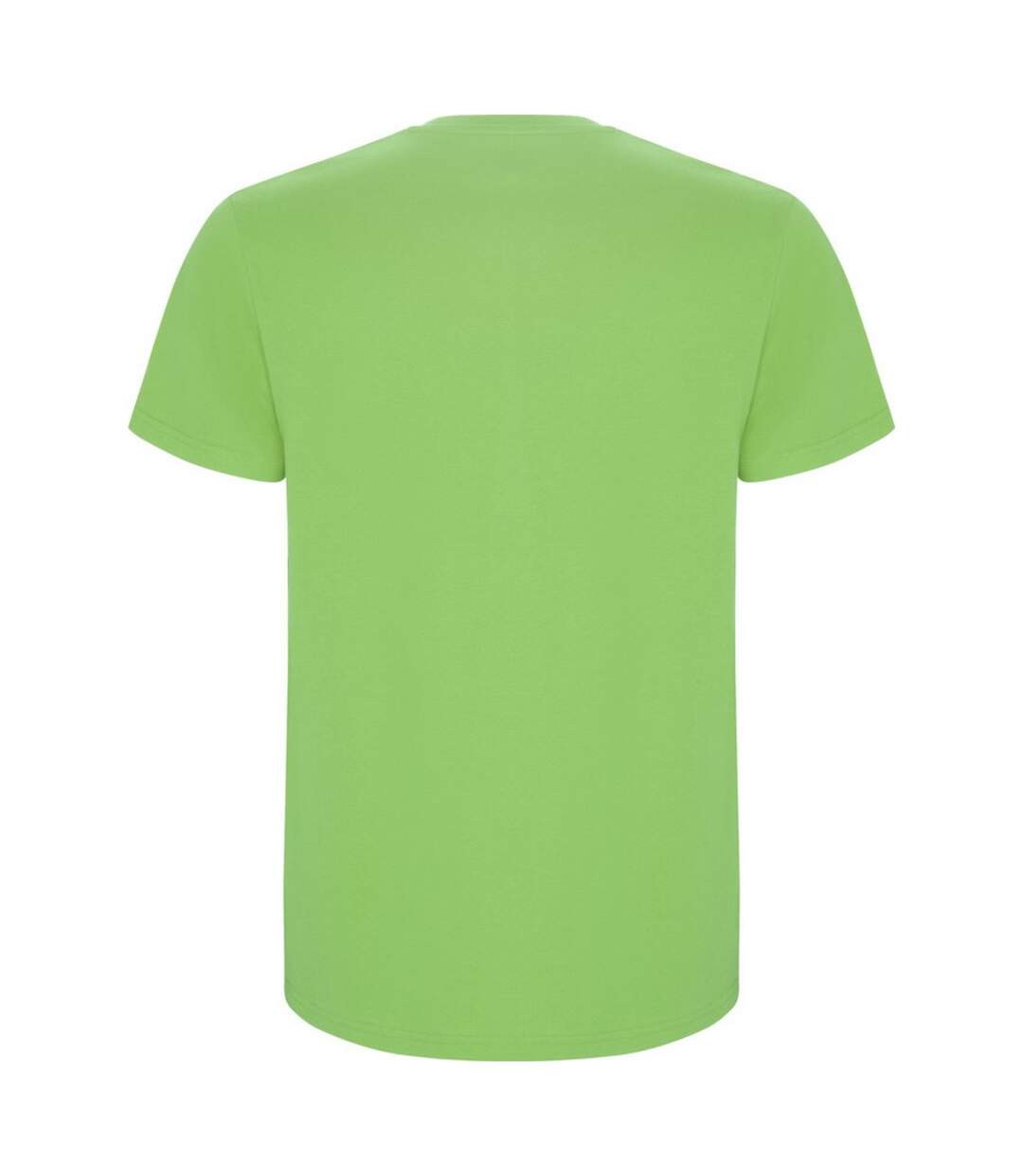 T-shirt stafford homme vert kaki vif Roly-2