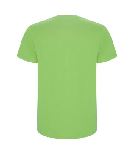 Roly - T-shirt STAFFORD - Homme (Vert kaki vif) - UTPF4347