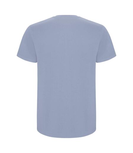 Roly - T-shirt STAFFORD - Homme (Bleu zen) - UTPF4347