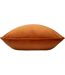 Evans Lichfield Opulence Throw Pillow Cover (Tangerine) (55cm x 55cm) - UTRV2306