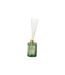 Diffuseur de Parfum Design Elie 200ml Apple Blossom-1