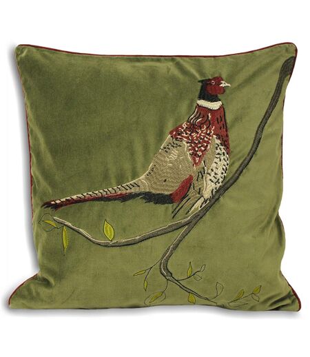 Riva Home Hunter Velvet Pheasant - Housse de coussin (Vert) - UTRV497