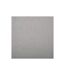 Tapis de Salle de Bain Diatomite 39x60cm Gris