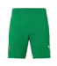 Short Domicile Motif/style Irlande Homme Vert Joyeux Castore-1