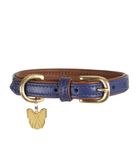 Leather padded dog collar xl neckline: 58cm-64cm navy Digby & Fox