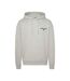 Sweat à Capuche Gris Homme Tommy Hilfiger Entry Grap - L