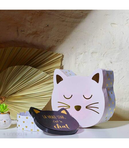 Lot de 2 boites de rangement pour enfant CAT