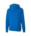 Sweat À Capuche Teamgoal Homme Bleu Puma-2
