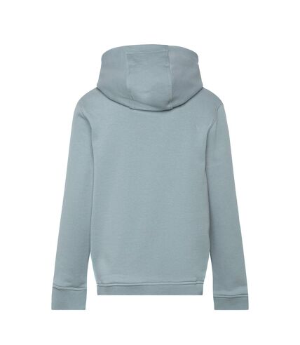 Sweat à capuche homme bleu brume Lyle & Scott Lyle & Scott