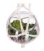 Plante Artificielle à Suspendre Verre 53cm Transparent-3