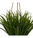 Herbe Artificielle Suspendue Moda 27cm Naturel-3