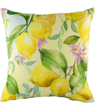 Evans Lichfield Housse de coussin Fruit Lemon (Jaune/Vert/Rose) - UTRV1970