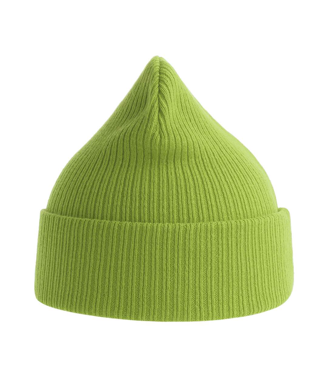 Unisex adult nelson ribbed organic cotton beanie leaf green Atlantis-3