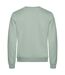 Unisex Adult Miami Round Neck Sweatshirt Sage Green Clique-2