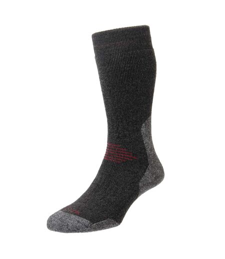 HJ Hall - Chaussettes Randonnée Homme Laine Épaisse Rembourrées Outdoor
