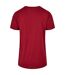 Build Your Brand Mens Basic Round Neck T-Shirt (Burgundy) - UTRW8520