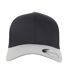 Casquette De Baseball Noir Argenté Flexfit-1