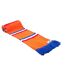 Écharpe Supporter Motif/style Rétro Wales Taille Unique Orange Fan Originals-1