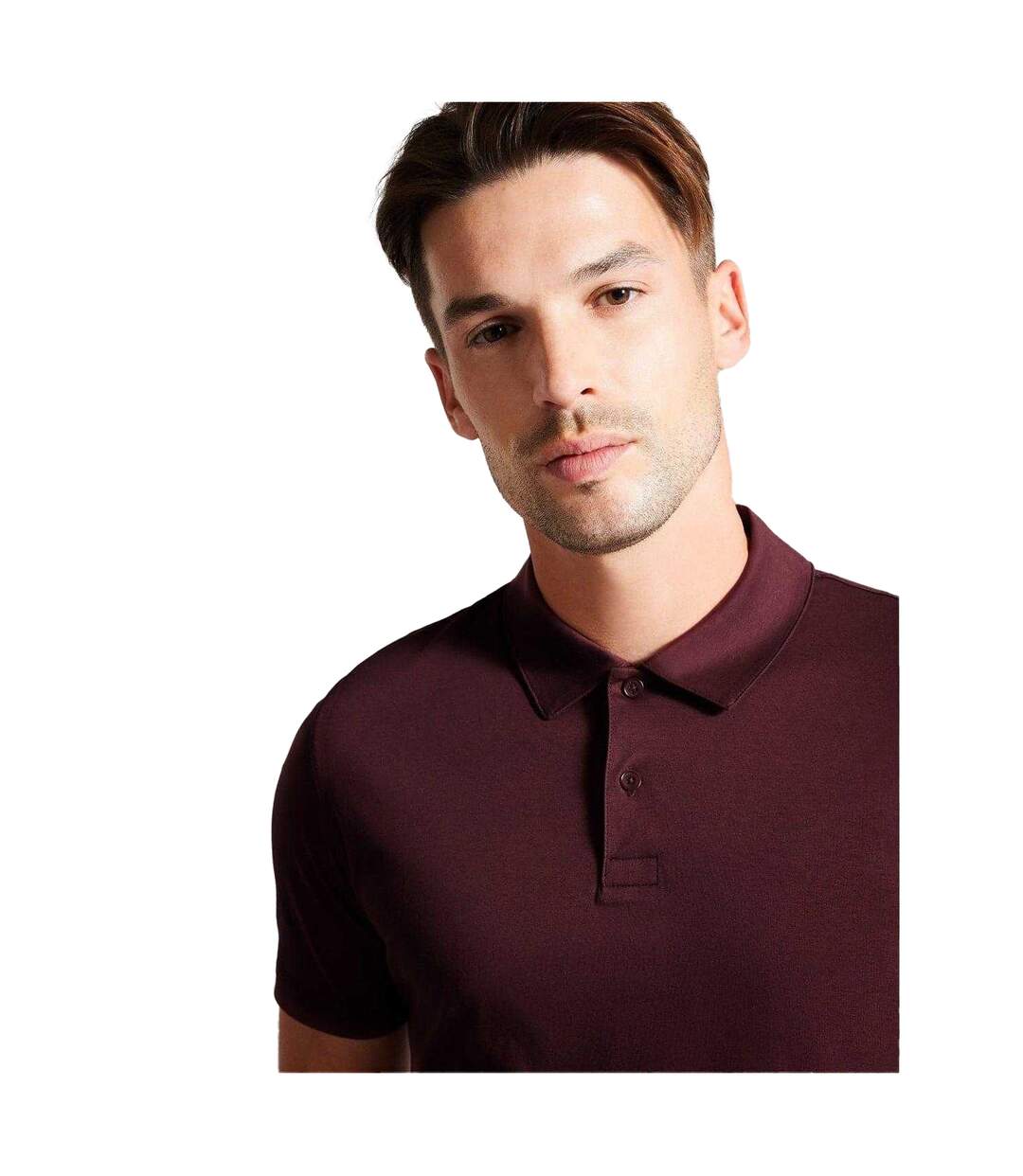 Polo Zeiter Homme Bordeaux Foncé Ted Baker-4