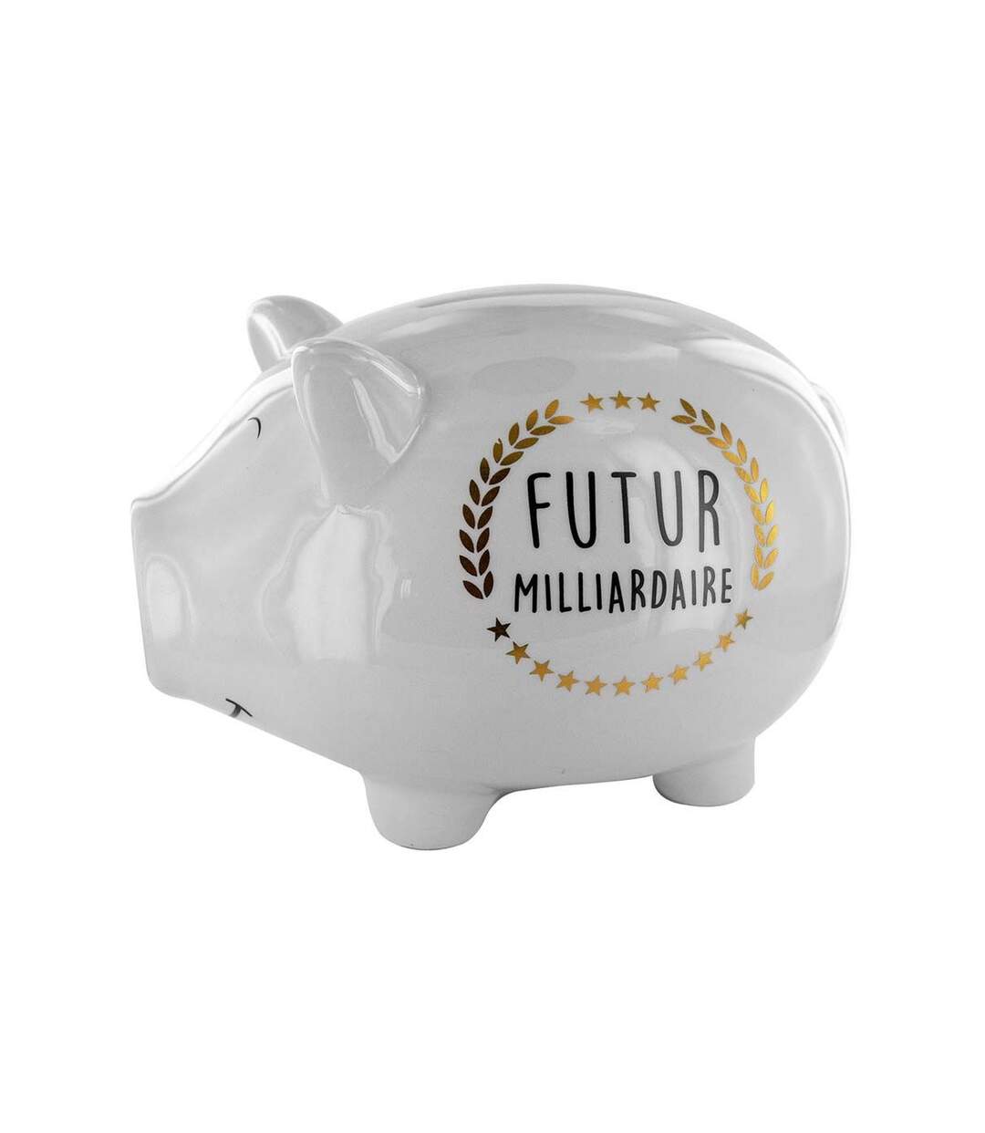 Tirelire cochon XXL Futur milliardaire-1