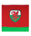 Ensemble Bonnet Et Écharpe Wales Adulte Taille Unique Rouge Blanc Vert Fan Originals-4