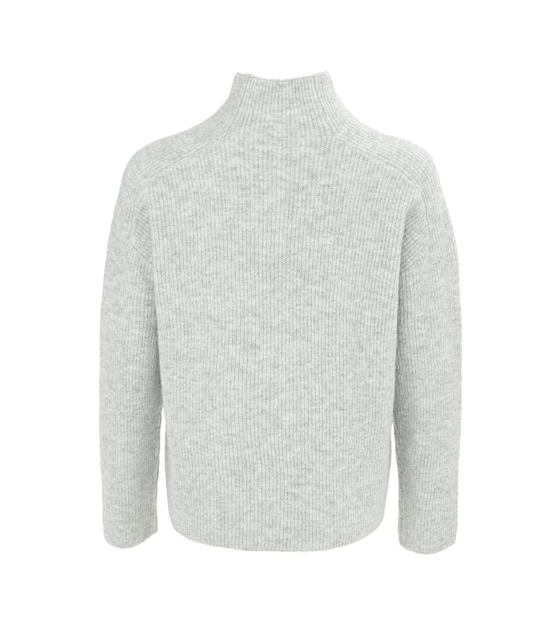 Womens/ladies Ribbed Jumper Light Grey Miso-1