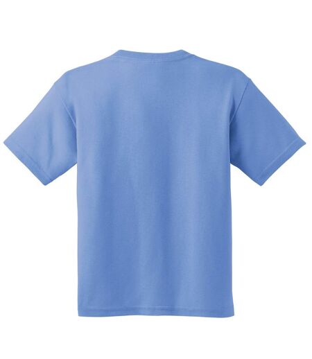 Youth Unisex Heavy Cotton T-shirt Carolina Blue Gildan