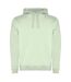 Sweat À Capuche Urban Homme Vert Brume Roly-1