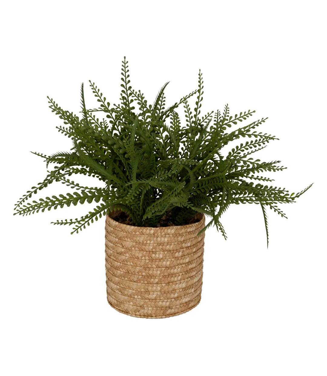 Fougère Artificielle en Pot Clemy 30cm Vert-1