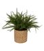 Fougère Artificielle en Pot Clemy 30cm Vert-1
