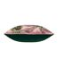 Paoletti - Housse de coussin PLATALEA (Rose / Vert) (Taille unique) - UTRV2658