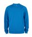 Sweat Manches Raglan Adulte Bleu Roi Clique-1