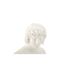 Buste Homme en Résine Centurion 25cm Blanc-3