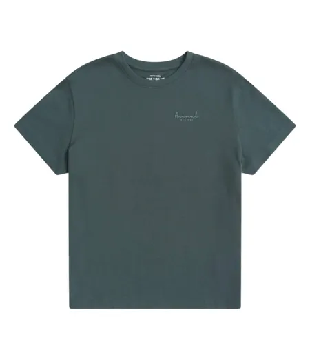 Womens/ladies Grace Heavyweight Relaxed Fit Short-sleeved T-shirt Charcoal Animal