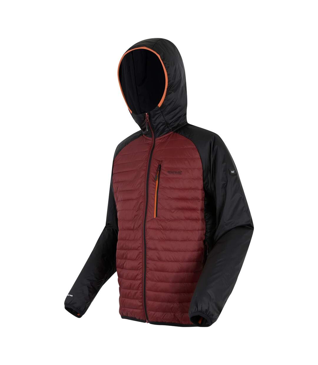 Doudoune Matelassée Rowak Homme Pourpre Foncé Noir Regatta-4